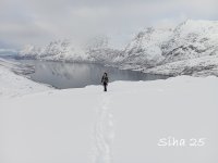 IMG_20250306_103408.jpg