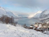 IMG_20250306_090710.jpg