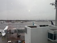 51F6AFDC-503E-4E0A-824F-1F2FE7547600.jpeg