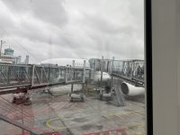 736C8895-065F-4776-A1F5-E9087EE9BA43.jpeg
