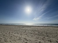 IMG_7005.JPG