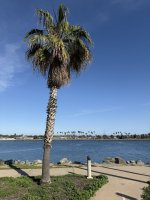 IMG_7008.JPG
