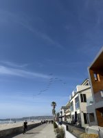 IMG_7003.JPG