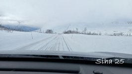 IMG_20250306_121955.jpg