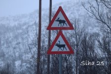 IMG_6554.JPG