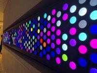 IMG_6046.jpeg