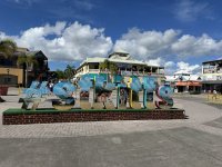 IMG_6110.jpeg