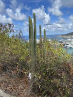 IMG_6147.jpeg