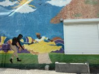 IMG_6153.jpeg