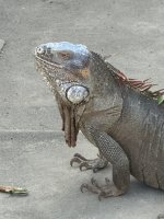 IMG_6213.jpeg