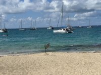 IMG_6206.jpeg