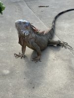 IMG_6215.jpeg