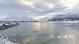 IMG_20250307_080844.jpg