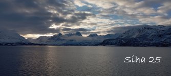 IMG_20250307_083139.jpg