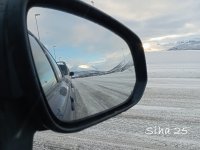 IMG_20250307_081355.jpg
