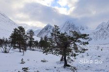 IMG_6577.JPG
