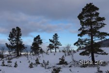 IMG_6585.JPG