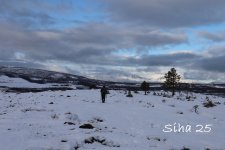 IMG_6586.JPG