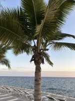 IMG_6294.jpeg
