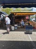 IMG_6383.jpeg