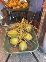 IMG_6384.jpeg