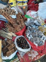 IMG_6385.jpeg