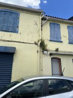 IMG_6391.jpeg