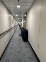 IMG_6403.jpeg