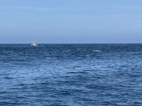 IMG_7164.JPG