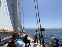 IMG_7185.JPG