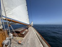 IMG_7199.JPG