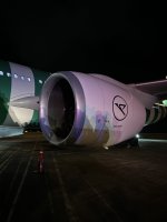 IMG_6407.jpeg