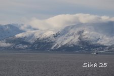 IMG_6597.JPG