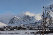 IMG_6608.JPG