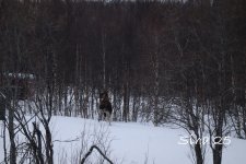 IMG_6623.JPG