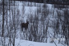 IMG_6631.JPG