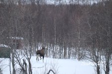 IMG_6622.JPG