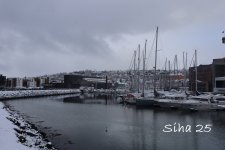 IMG_6646.JPG