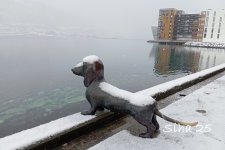 IMG_20250308_100445.jpg
