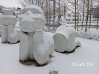 IMG_20250308_100706.jpg