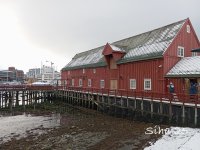 IMG_20250308_120331.jpg