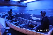 IMG_6682.JPG