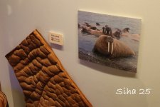 IMG_6688.JPG