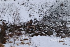 IMG_6753.JPG