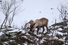 IMG_6758.JPG