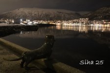 IMG_6800.JPG