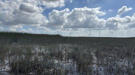 IMG_5310.jpeg