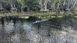 IMG_5319.jpeg