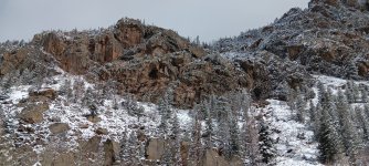 20250419_102654.jpg
