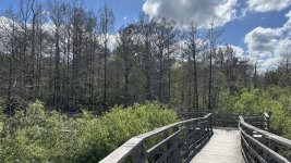 IMG_5360.JPEG